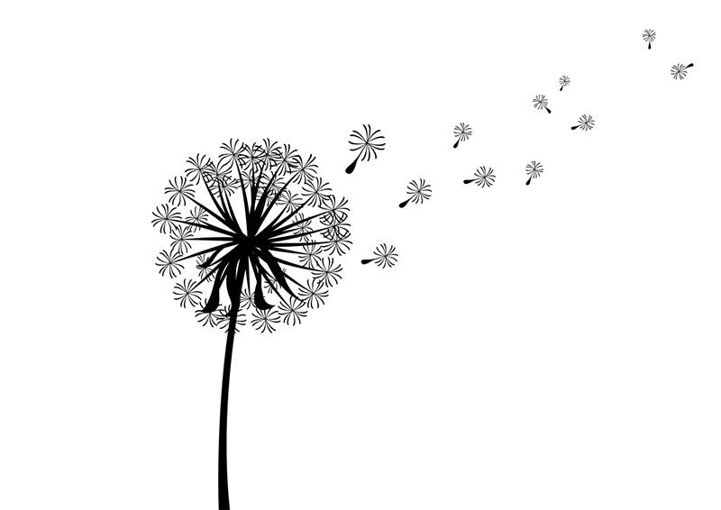 scattered-dandelion-silhouette