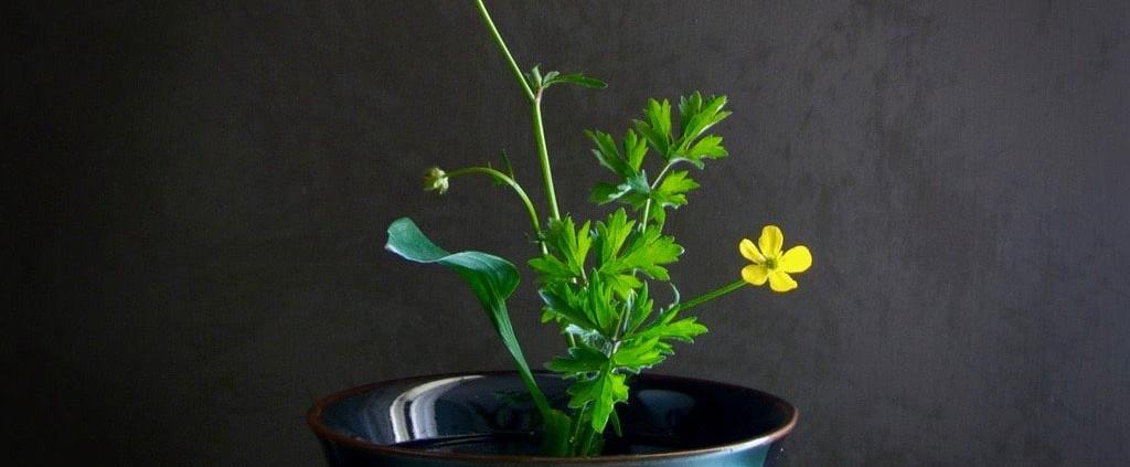 Ikebana con fiori di campo