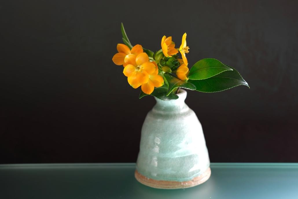 Anteprima corso online ikebana