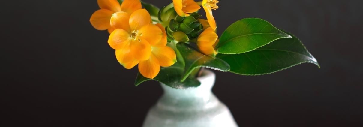 Anteprima corso online ikebana