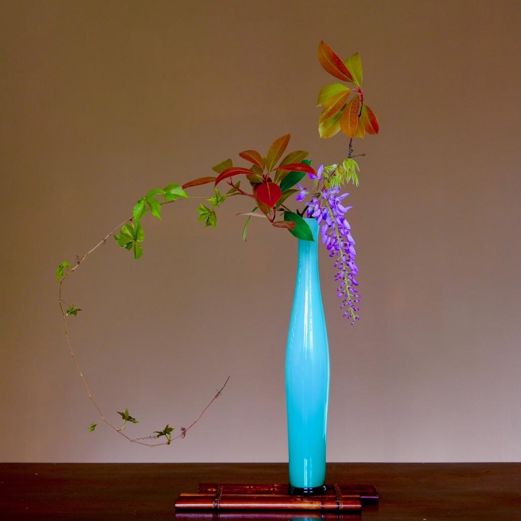 Ikebana con glicine. Il glicine in Giappone. Consigli.