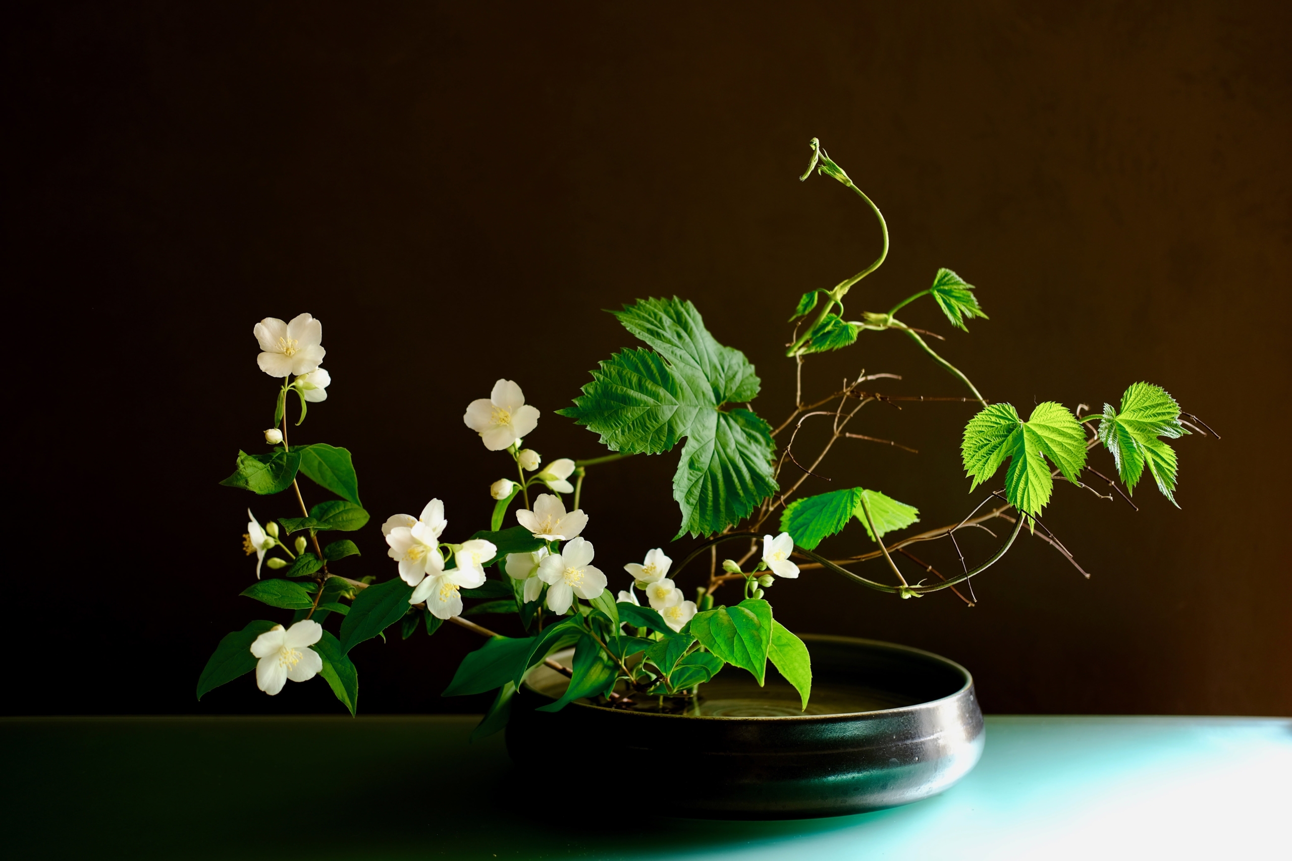 Ikebana di primavera