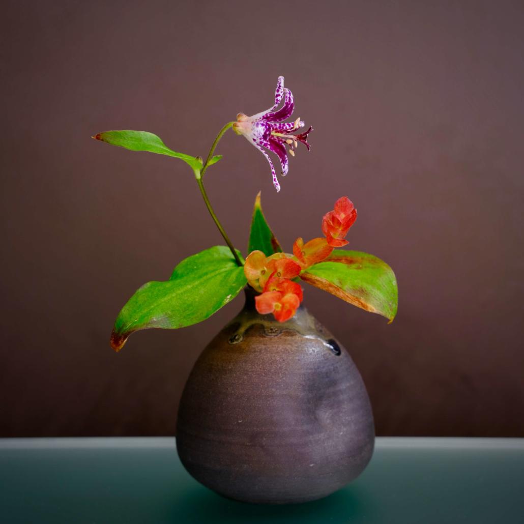 Ikebana, corsi online