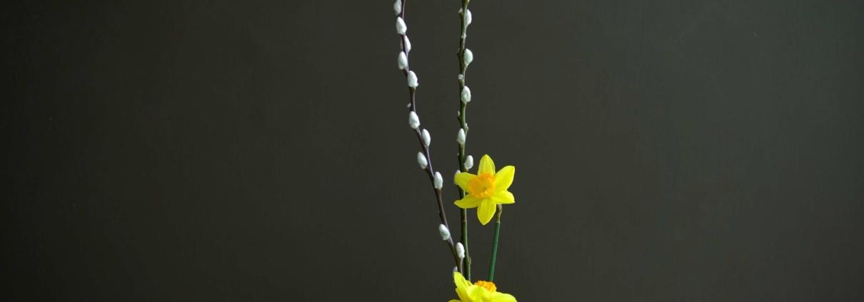 Corso online di ikebana. Composizione con narcisi