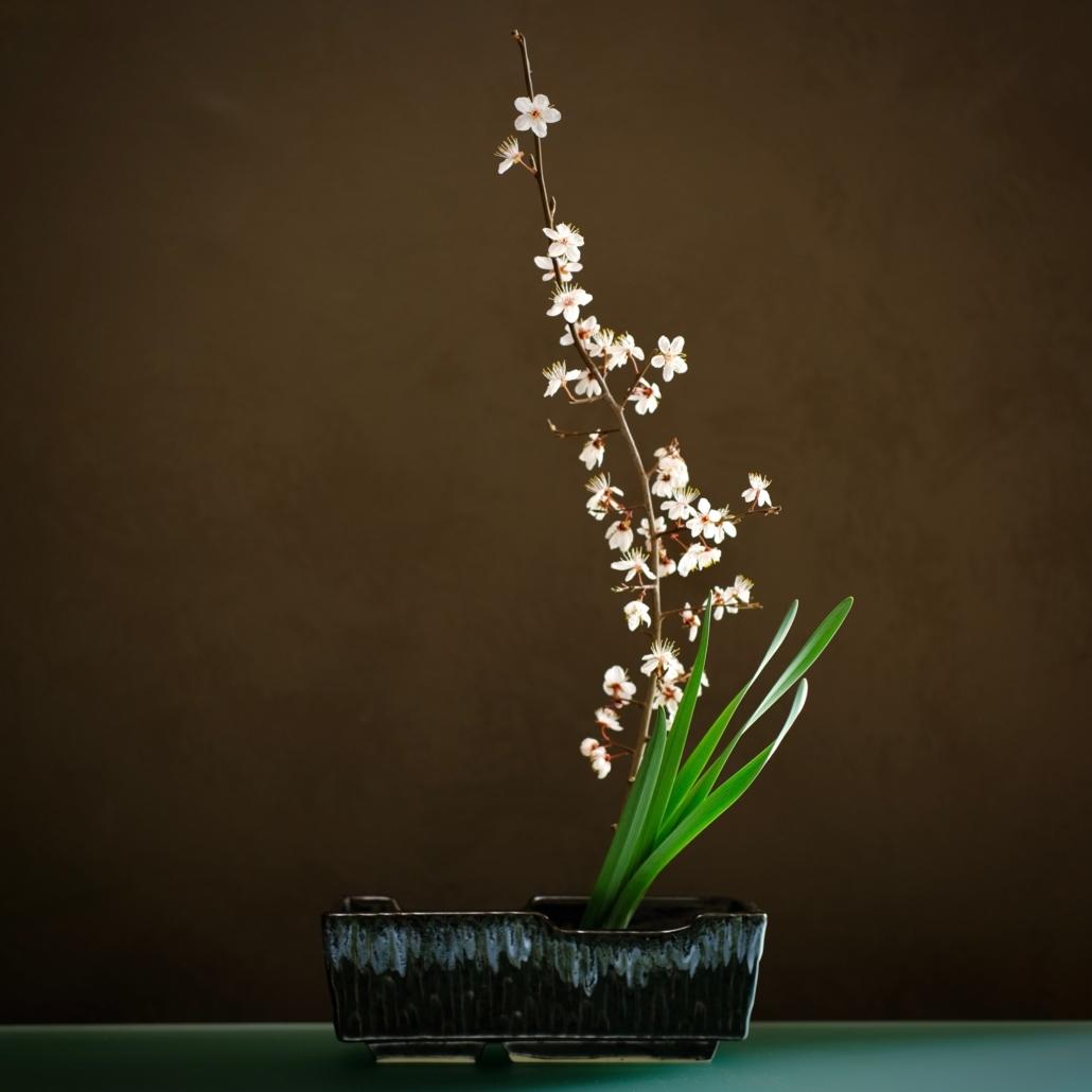 Ikebana con fiori di prunus per corso online di primavera