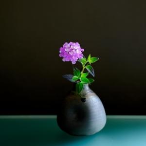 Piccolo ikebana (Chabana)