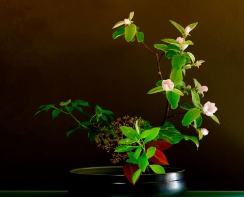 Ikebana con fiori di melo cotogno per lezioni di primavera