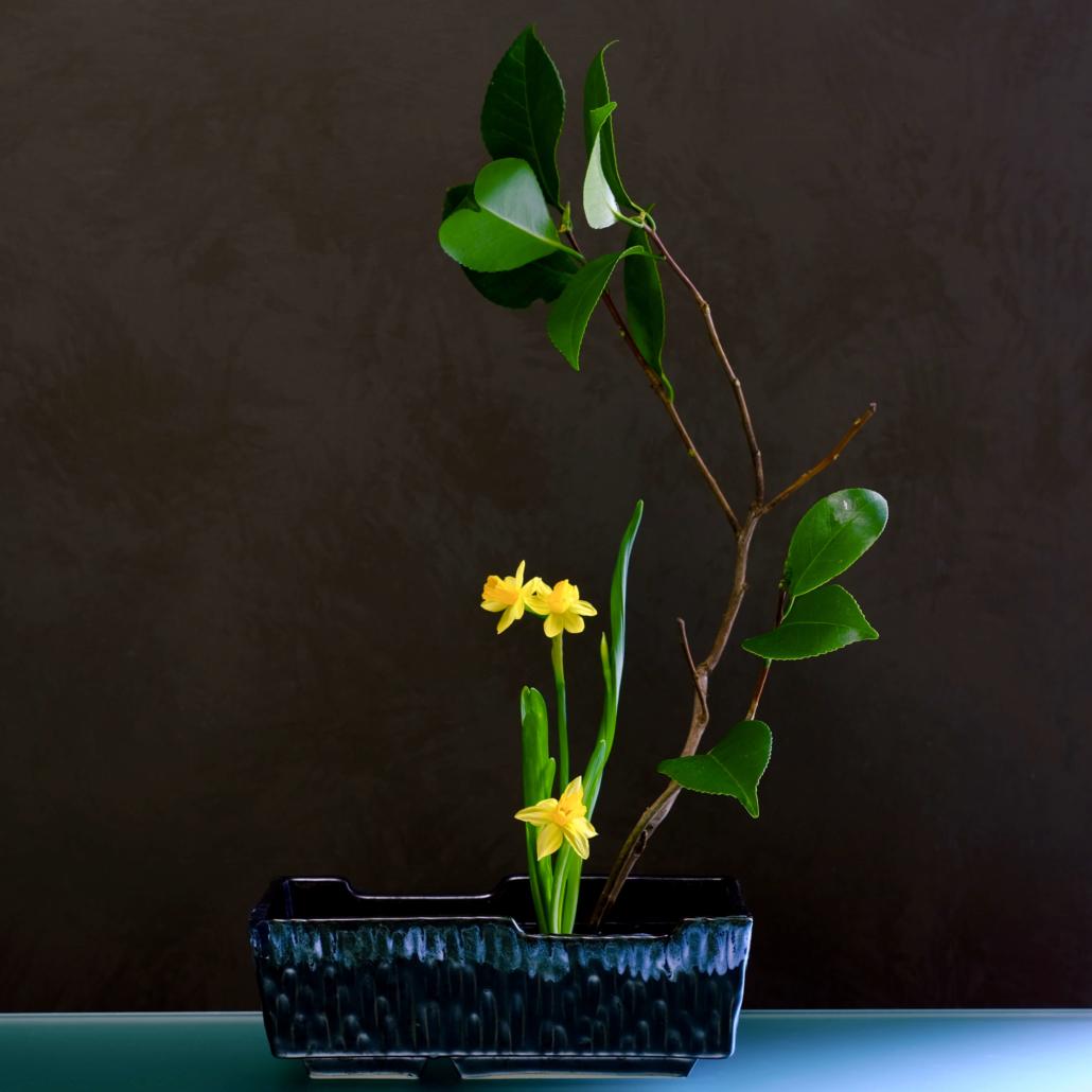 Corso online di ikebana. Composizione con narcisi