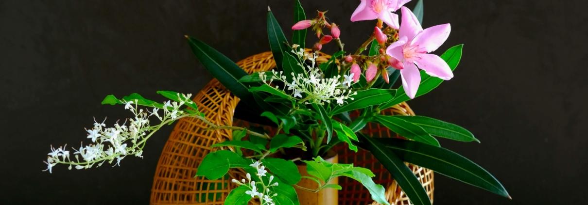 Ikebana estivo nel cestino di bambù. Lezioni di ikebana. Corsi di ikebana online. Jenny Favari